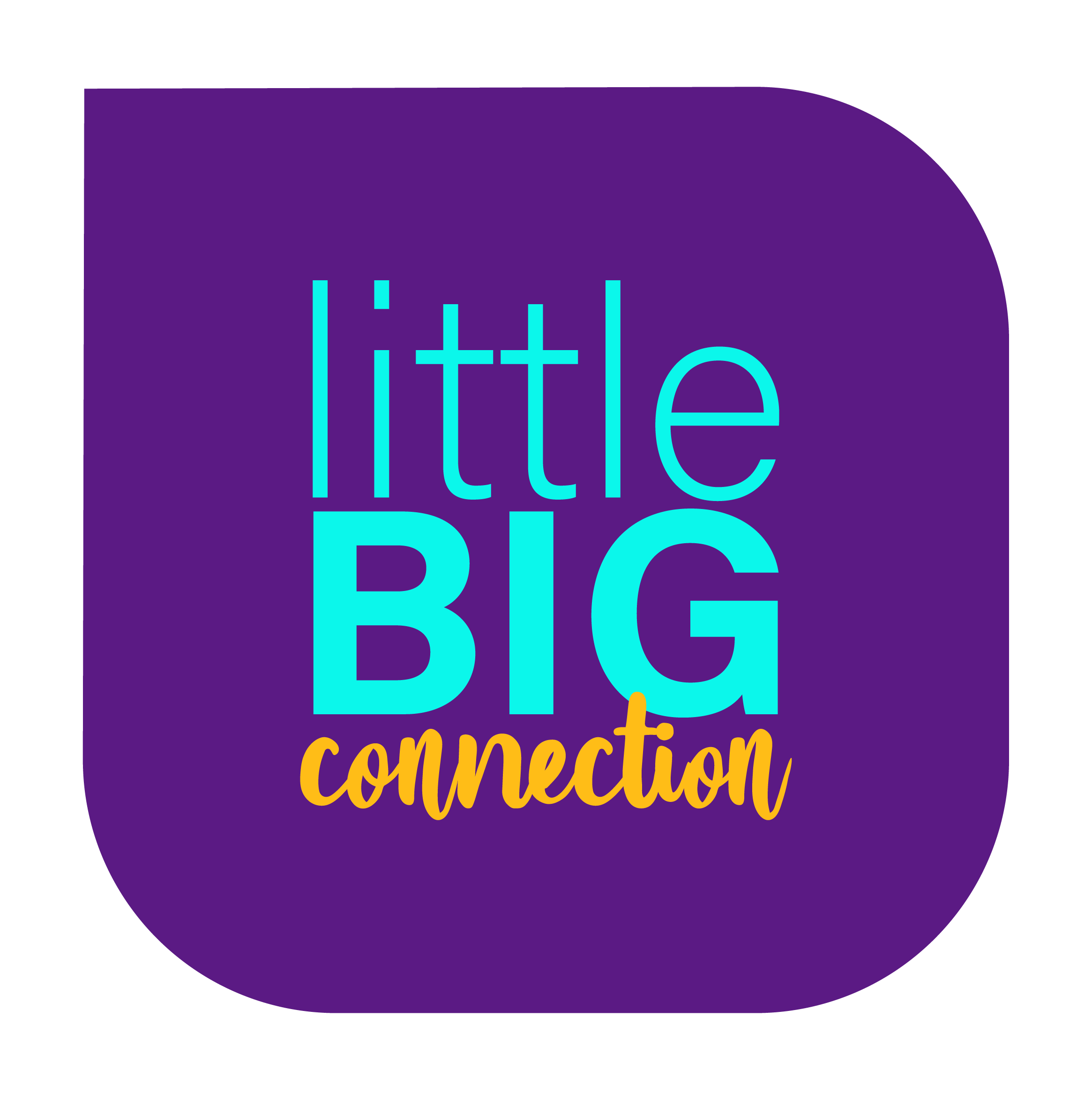 LITTLEBIG CONNECTION